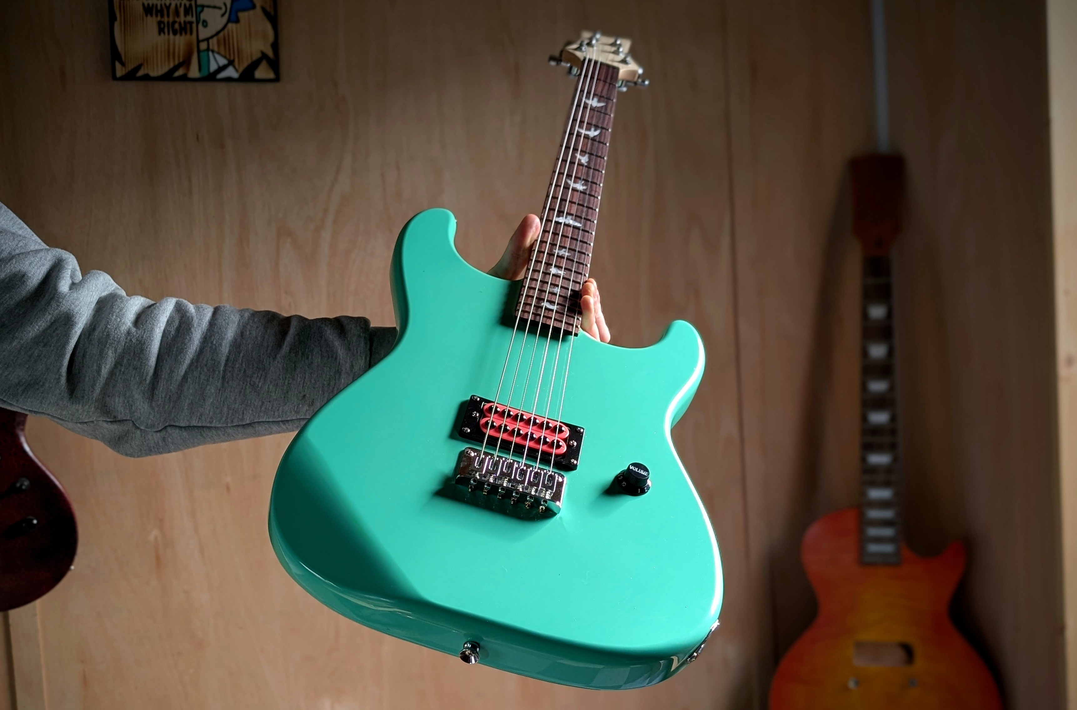 Cheap Fazley Stratocaster with a custom PRS style guitar neck